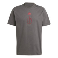 adidas Belgique Travel T-Shirt 2024-2026 Gris Foncé Rouge