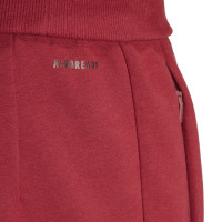 adidas België Travel Trainingspak 2024-2026 Donkerrood Donkergrijs