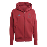 adidas Belgique Travel Veste 2024-2026 Rouge Foncé Gris Foncé