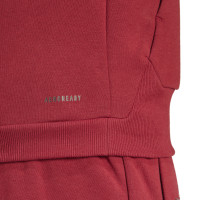 adidas Belgique Travel Veste 2024-2026 Rouge Foncé Gris Foncé