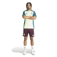 adidas Mexique Ensemble Training 2024-2026 Vert Clair Bordeaux Vert Foncé