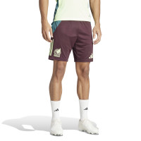 adidas Mexique Ensemble Training 2024-2026 Vert Clair Bordeaux Vert Foncé