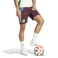 adidas Mexique Ensemble Training 2024-2026 Vert Clair Bordeaux Vert Foncé
