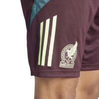 adidas Mexique Ensemble Training 2024-2026 Vert Clair Bordeaux Vert Foncé
