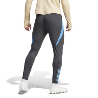 adidas Argentinië Trainingsbroek 2024-2026 Donkergrijs Lichtblauw Goud