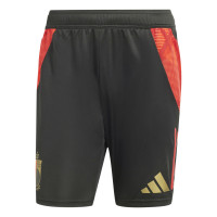 adidas Belgique Short d'Entraînement 2024-2026 Noir Rouge Doré