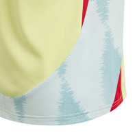 adidas Espagne Tenue Extérieur 2024-2026