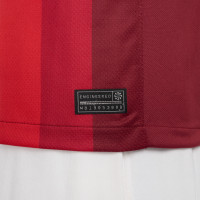 Nike Norvège Maillot Domicile 2024-2026