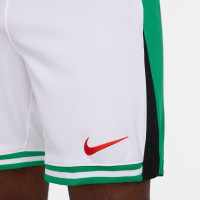 Nike Nigeria Thuisbroekje 2024-2026