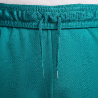 Nike Portugal Strike Short d'Entraînement 2024-2026 Vert Vert Clair