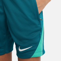 Nike Portugal Strike Trainingsbroekje 2024-2026 Kids Groen Lichtgroen