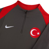 Nike Turquie Strike Haut d'Entraînement 1/4-Zip 2024-2026 Gris Foncé Rouge