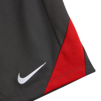 Nike Turquie Strike Short d'Entraînement 2024-2026 Gris Foncé Rouge