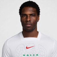 Nike Nigeria Thuisshirt 2024-2026