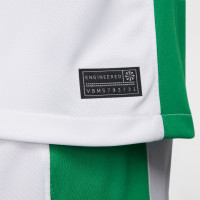 Nike Nigeria Thuisshirt 2024-2026
