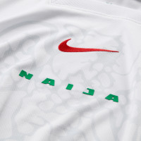 Nike Nigeria Thuisshirt 2024-2026