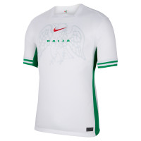 Nike Nigeria Thuisshirt 2024-2026