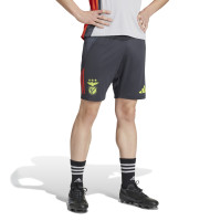 adidas SL Benfica Short d'Entraînement 2024-2025 Gris Foncé