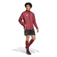 adidas Belgique Anthem Veste d'Entraînement Réversible 2024-2026 Rouge Noir Doré Beige