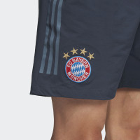 adidas Bayern Munchen Champions League Trainingsbroekje 2018-2019 Utility Blue