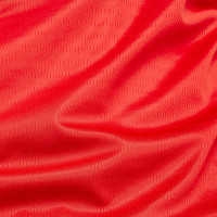 New Balance Lille OSC Thuisshirt 2024-2025