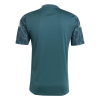 adidas Mexico Pre-Match Trainingsshirt 2024-2026 Groen Wit