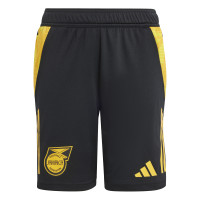adidas Jamaica Trainingsset 2024-2026 Kids Groen Zwart Geel