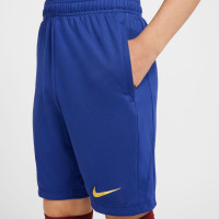 Nike FC Barcelone Academy Pro Short d'Entraînement 2024-2025 Enfants Bleu Jaune