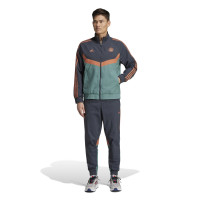 adidas Bayern München Culturewear Woven Joggingbroek 2024-2025 Grijs Oranje Groen