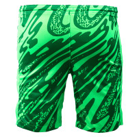 Kit de gardien de but à manches longues Nike Netherlands 2024-2026 vert pour enfants