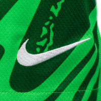 Kit de gardien de but à manches longues Nike Netherlands 2024-2026 vert pour enfants