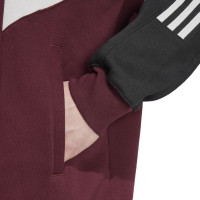 adidas Ajax Originals Sweat à Capuche 2024-2025 Bordeaux Blanc Noir