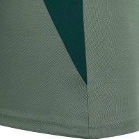 Présentation du polo Castore Feyenoord 2024-2025 Vert Vert foncé
