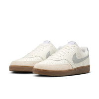 Nike Court Vision Low Sneakers Wit Zilver Bruin