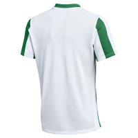 Nike Striped Division V Voetbalshirt Wit Groen