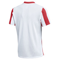 Nike Striped Division V Voetbalshirt Wit Rood