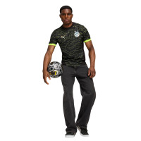 PUMA Borussia Dortmund Esports Trainingsshirt 2024-2025 Zwart Geel Zilver