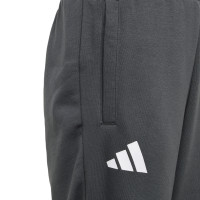adidas Jude Bellingham Joggingbroek 2024-2025 Kids Donkergrijs Wit Goud