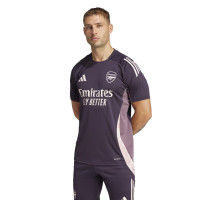 adidas Arsenal Maillot d'Entraînement 2024-2025 Mauve Foncé Beige Mauve