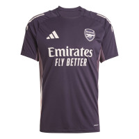 adidas Arsenal Maillot d'Entraînement 2024-2025 Mauve Foncé Beige Mauve