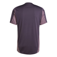 adidas Arsenal Maillot d'Entraînement 2024-2025 Mauve Foncé Beige Mauve