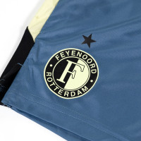 Pantalons d'entraînement Castore Feyenoord 2024-2025 pour femmes, bleu et vert