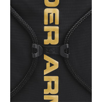 Under Armour Gymtas Zwart Goud