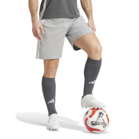 adidas Tiro 24 Voetbalbroekje Grijs Wit