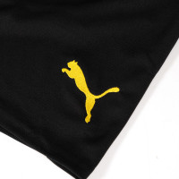PUMA Borussia Dortmund Thuisset 2024-2025