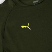 PUMA Borussia Dortmund Pumatech Pocket T-Shirt 2024-2025 Donkergroen Olijfgroen Geel