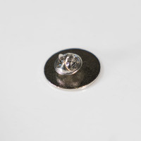Cercle Brugge Pin Zwart Groen