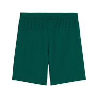 PUMA Portugal Short Domicile 2025-2026