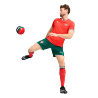 PUMA Portugal Maillot Domicile Authentic 2025-2026