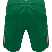 adidas Masters of Madness FC Paniekaanval Short Vert Rose